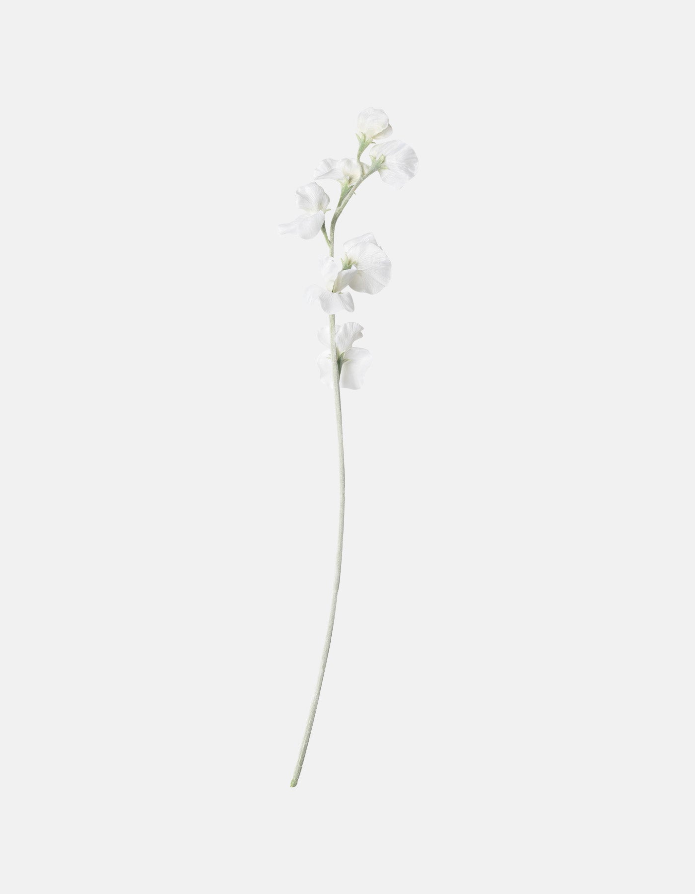 Blomsterert Hvit 5-pk