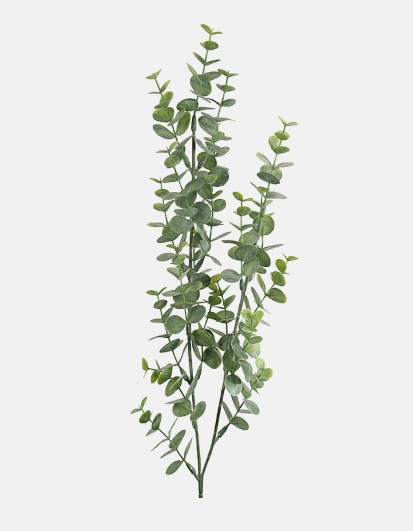 756890 Mr Plant - Eucalyptus - 74 cm