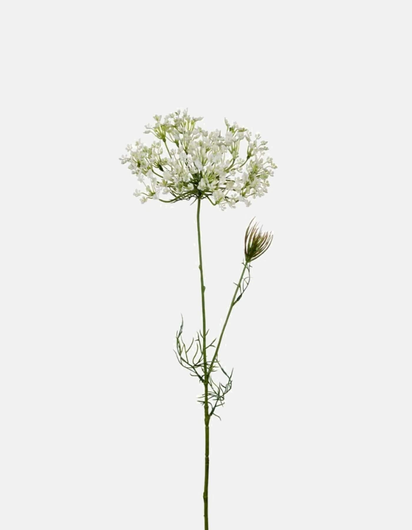 967110 Mr Plant - Allium - 70cm